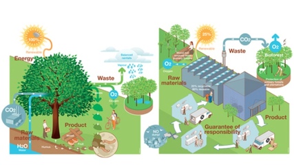 廚房革命:污染、浪費大作戰(zhàn)